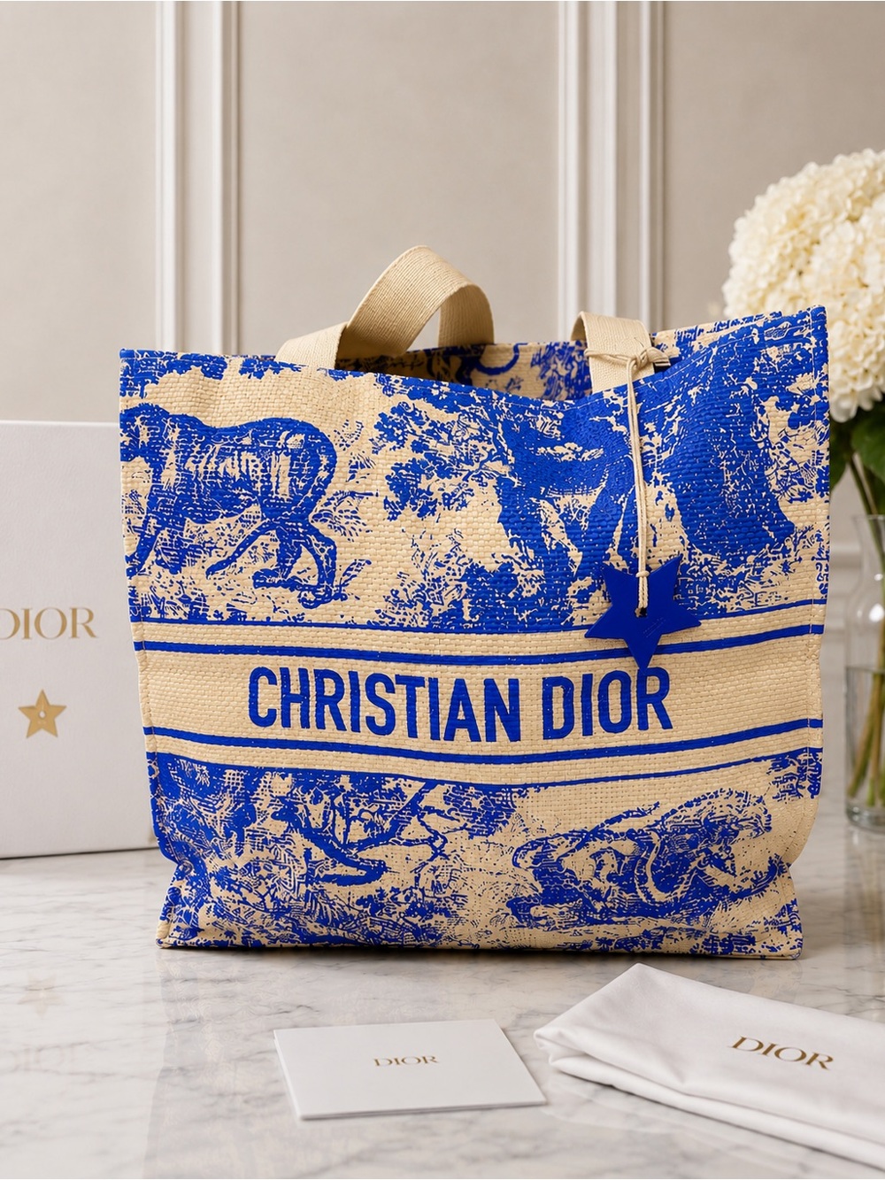 Dior Blue and Natural Toile Canvas Tote - Picture 3 of 9